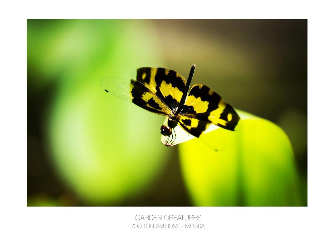 Your Dream Home - Mirissa Dış mekan fotoğraf