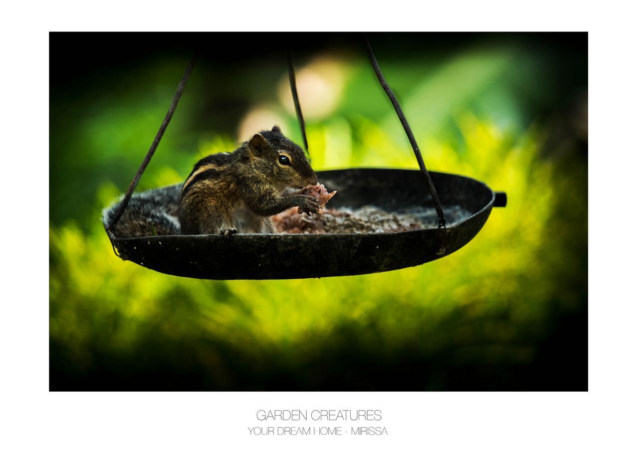 Your Dream Home - Mirissa Dış mekan fotoğraf